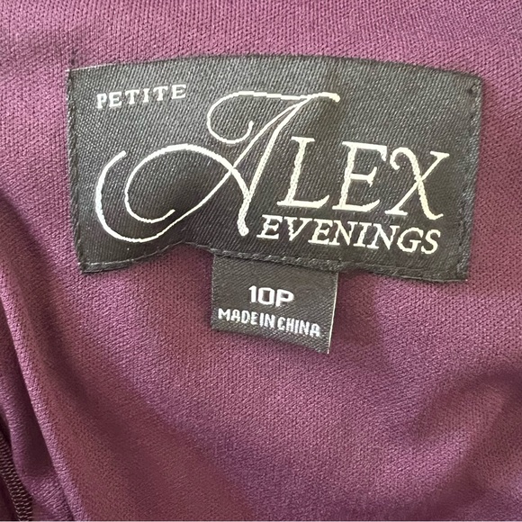 ALEX EVENINGS Sequined lace Floral 3/4 Sleeve long chiffon mock dress SZ  10P - Picture 8 of 9